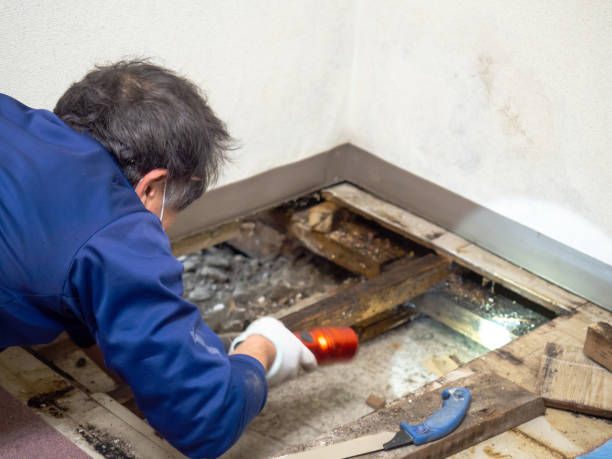 Mold Removal Process in Pawtucket, RI