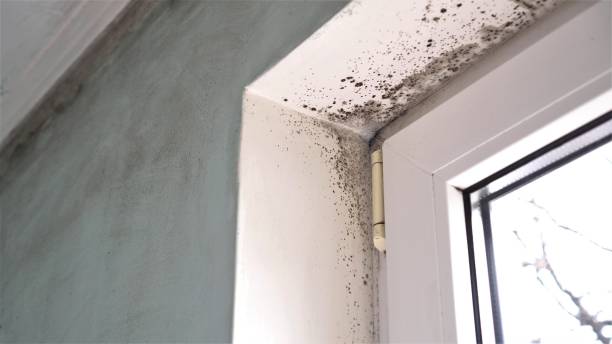 Water Damage Restoration in Pawtucket, RI