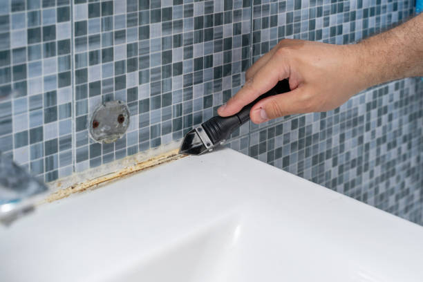 Best Mold Cleaning Services  in Pawtucket, RI