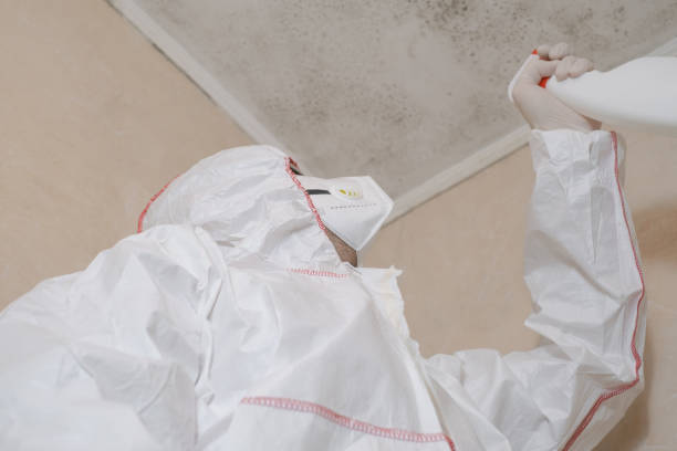 Best Crawl Space Mold Removal  in Pawtucket, RI